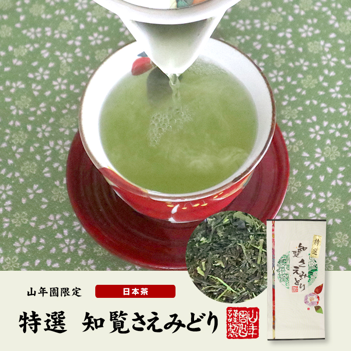 日本茶 お茶 煎茶 茶葉 八女茶 100g×10袋セット 巣鴨のお茶屋さん 山年園 - 3