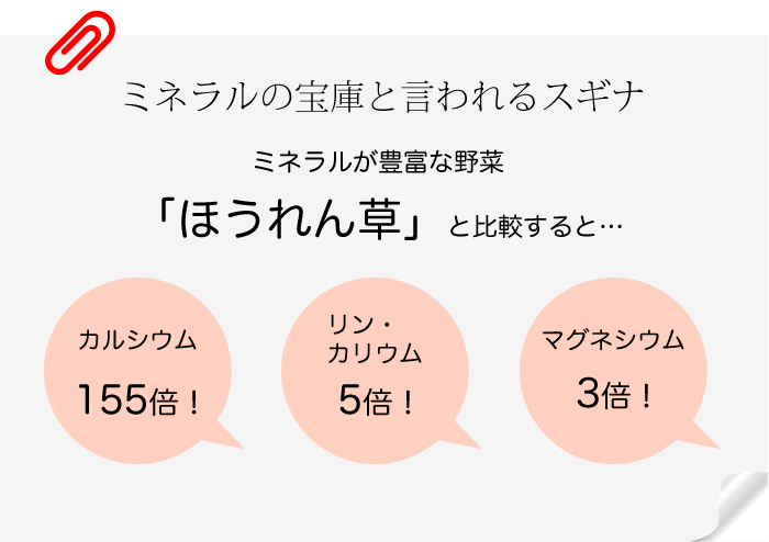 宮崎県産のスギナ100%