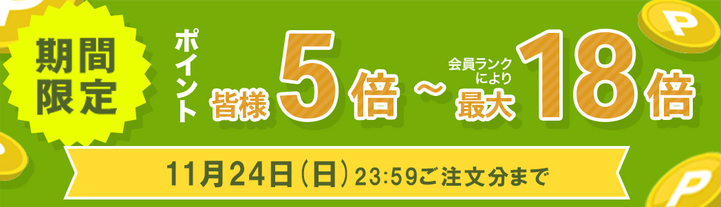 国産100%】菊芋チップス 50g 無添加 無農薬 | 巣鴨のお茶屋さん山年園