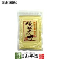 しょうが 粉末 国産 生姜の力 55g