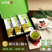 参拝茶100g×2袋+掛川深蒸し茶100g×4袋セット