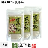 【国産】【無添加】蓮根粉 100g ×3袋セット