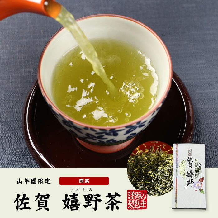 日本茶 お茶 煎茶 茶葉 嬉野 100g ×3袋セット