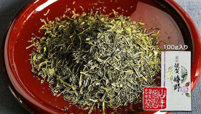 日本茶 お茶 煎茶 茶葉 嬉野 100g ×6袋セット