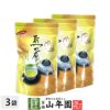 日本茶 お茶 煎茶 国産 やぶ北茶 5g×20パック ×3袋セット