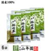 【掛川茶】掛川深蒸し茶100g ×6袋セット