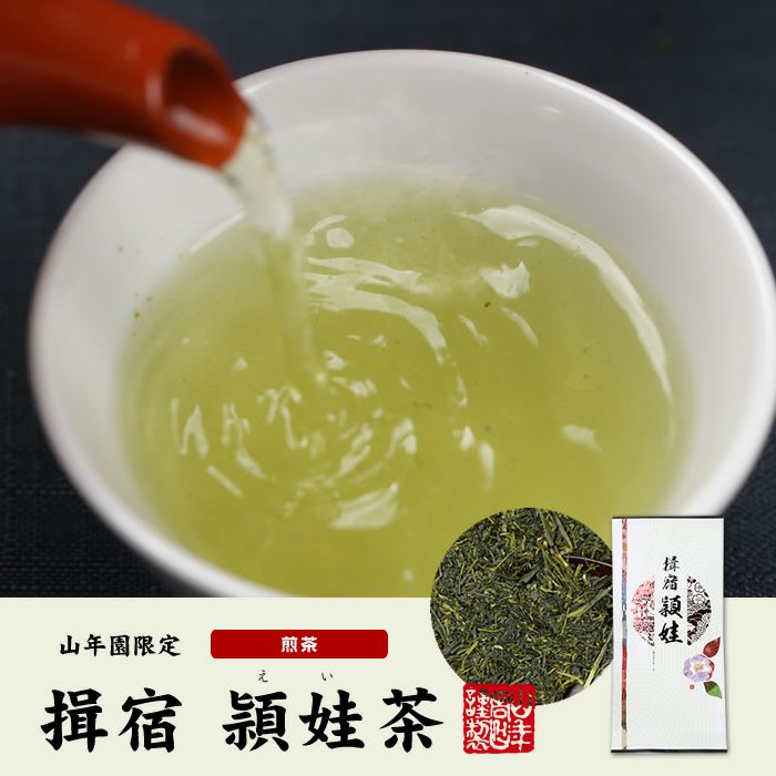 日本茶 お茶 煎茶 茶葉 頴娃 100g×6袋セット