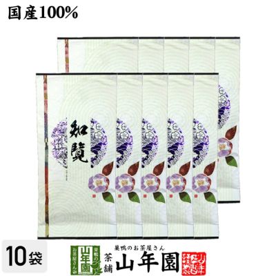 日本茶 お茶 煎茶 茶葉 知覧茶 100g×10袋セット