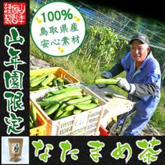 【定期購入】なたまめ茶 国産 無農薬 ノンカフェイン ティーパック 36g(3g×12パック) ×2袋セット