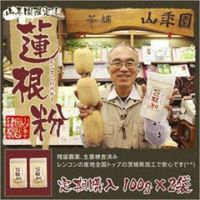 【定期購入】【国産】【無添加】蓮根粉 100g ×2袋セット