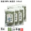 【国産 100%】熊笹茶 クマザサ茶 100g×6袋セット 無農薬 ノンカフェイン