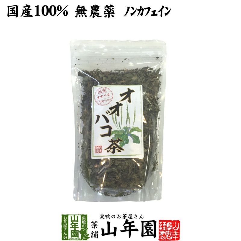 国産 100%】オオバコ茶 100g 無農薬 ノンカフェイン 宮崎県産 | 巣鴨の