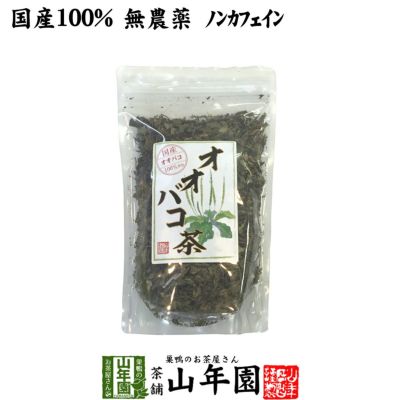 【国産 100%】オオバコ茶 100g 無農薬 ノンカフェイン 宮崎県産