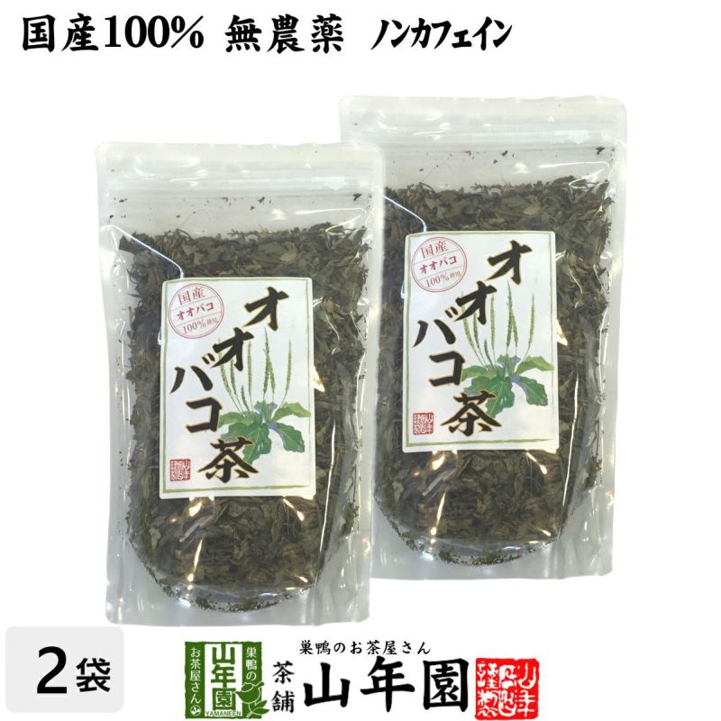 【国産 100%】オオバコ茶 100g×2袋セット 無農薬 ノンカフェイン 宮崎県産