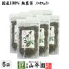 【国産 100%】オオバコ茶 100g×6袋セット 無農薬 ノンカフェイン 宮崎県産