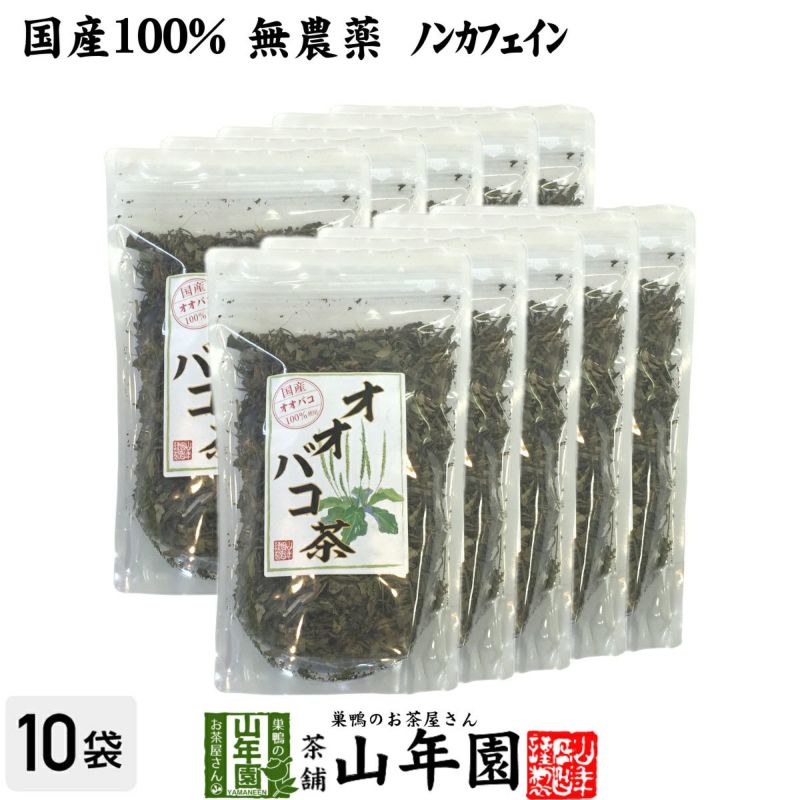 【国産 100%】オオバコ茶 100g×10袋セット 無農薬 ノンカフェイン 宮崎県産