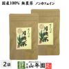 【国産 100%】月桃茶 2g×20パック×2袋セット ティーパック ノンカフェイン 沖縄県産 無農薬 月桃水