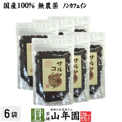 【国産 100%】サルノコシカケ茶 70g×6袋 宮崎県産 ノンカフェイン 無農薬 さるのこしかけ茶