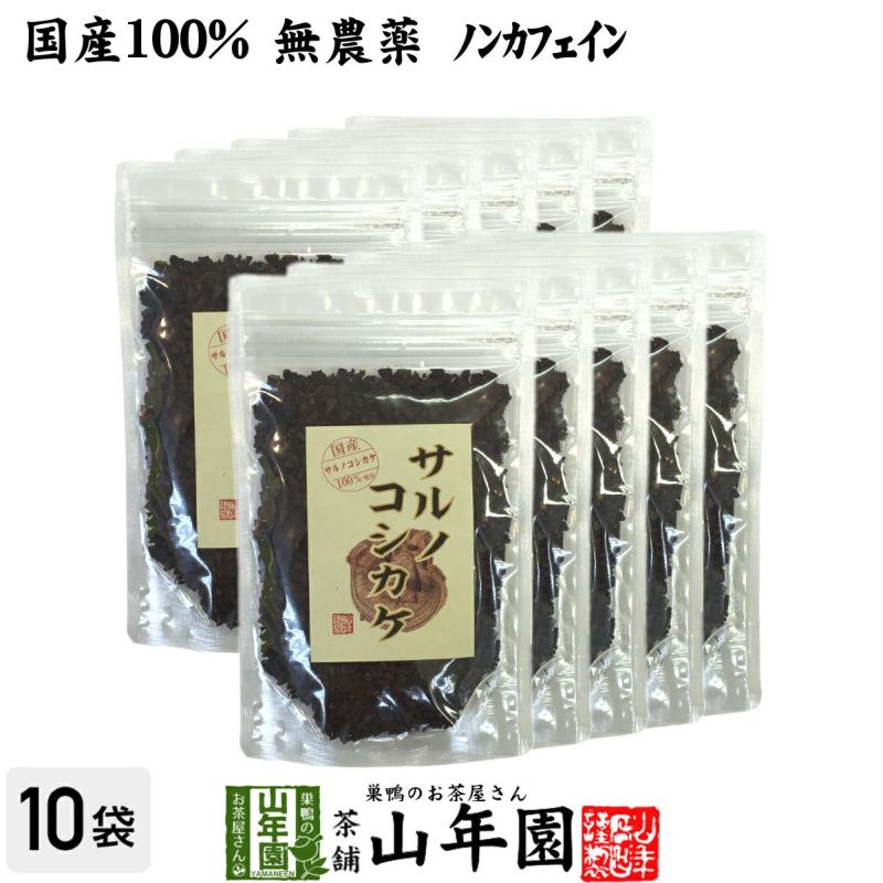 【国産 100%】サルノコシカケ茶 70g×10袋 宮崎県産 ノンカフェイン 無農薬 さるのこしかけ茶