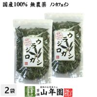 【国産 100%】ウラジロガシ茶 100g×2袋セット 宮崎県産 ノンカフェイン 無農薬