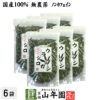 【国産 100%】ウラジロガシ茶 100g×6袋セット 宮崎県産 ノンカフェイン 無農薬