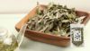 【国産 100%】ウラジロガシ茶 100g×6袋セット 宮崎県産 ノンカフェイン 無農薬