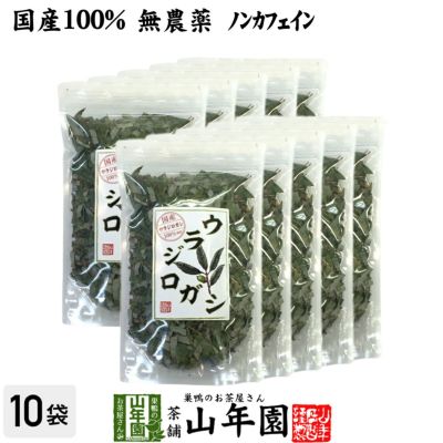 【国産 100%】ウラジロガシ茶 100g×10袋セット 宮崎県産 ノンカフェイン 無農薬