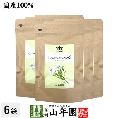 国産100% パパイヤ茶 ティーバッグ 宮崎県産 ノンカフェイン 18g（1.5g×12p）×10袋セット | 巣鴨のお茶屋さん山年園