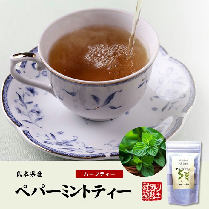 【国産 100%】ペパーミントティー ハーブティー 2g×15パック×6袋セット 熊本県産 ノンカフェイン 無農薬