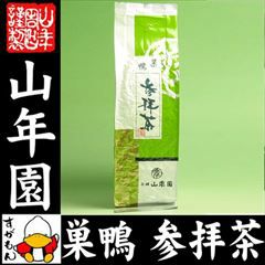 掛川深蒸し茶 巣鴨 参拝茶 200g×3袋セット | 巣鴨のお茶屋さん山年園