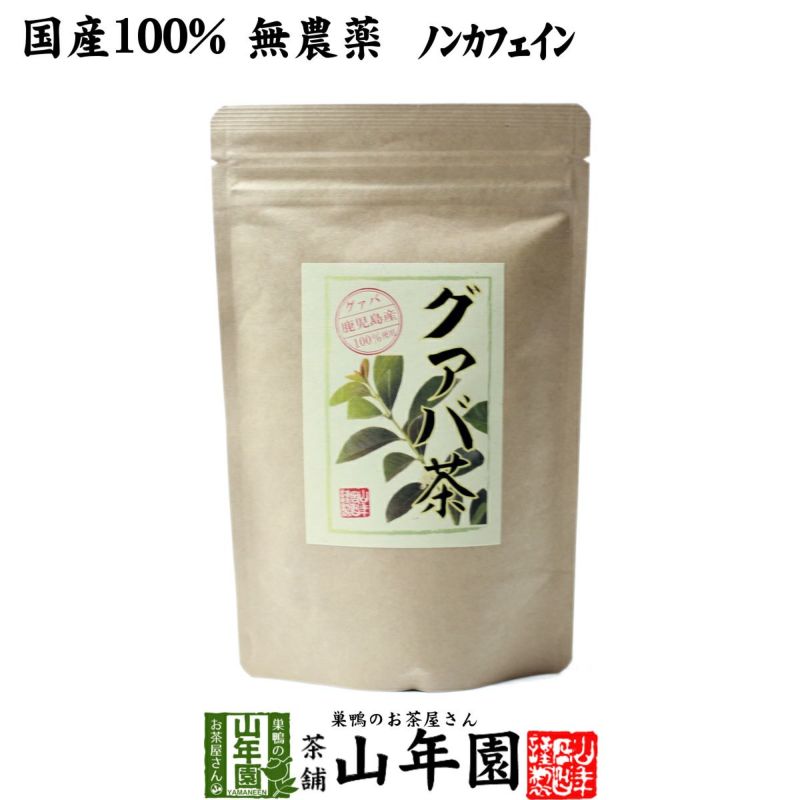 【国産 100%】グァバ茶 3g×16パック ティーパック ノンカフェイン 鹿児島県産 無農薬