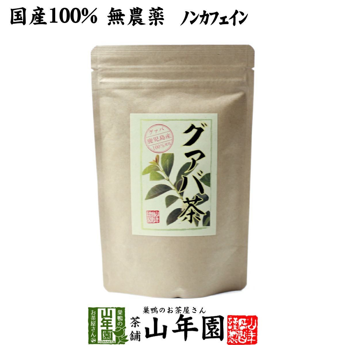 【国産 100%】グァバ茶 3g×16パック ティーパック ノンカフェイン 鹿児島県産 無農薬
