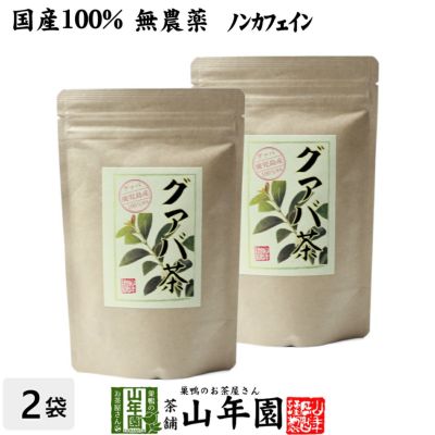 【国産 100%】グァバ茶 3g×16パック×2袋セット ティーパック ノンカフェイン 鹿児島県産 無農薬