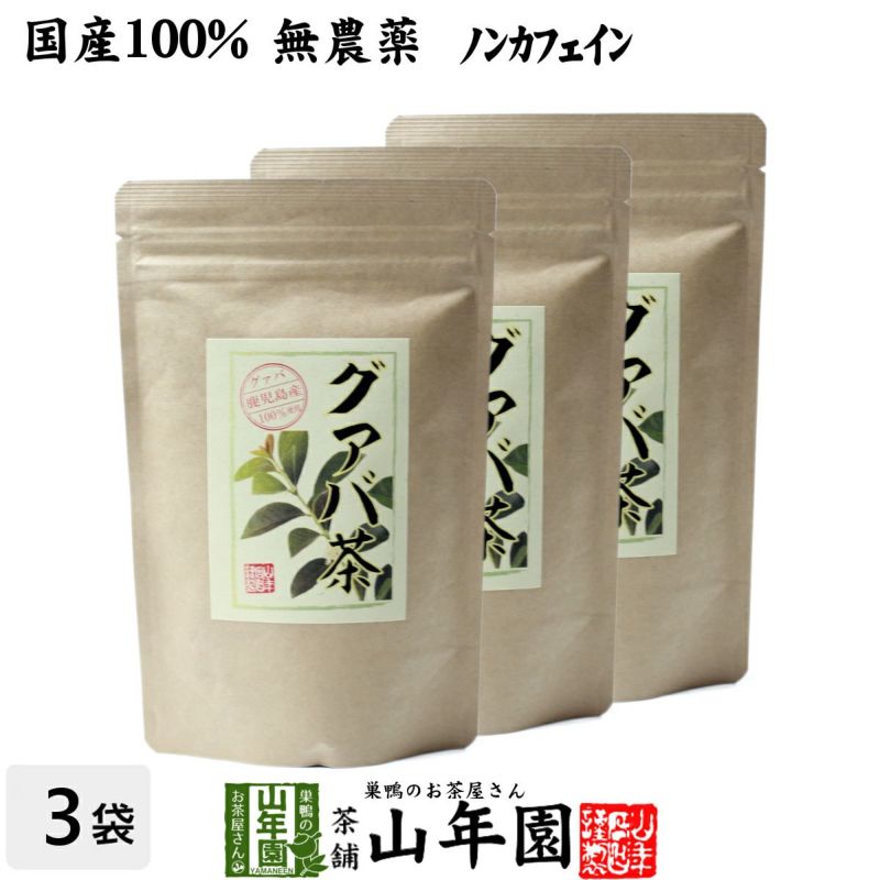 【国産 100%】グァバ茶 3g×16パック×3袋セット ティーパック ノンカフェイン 鹿児島県産 無農薬