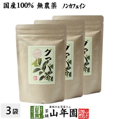 【国産 100%】グァバ茶 3g×16パック×3袋セット ティーパック ノンカフェイン 鹿児島県産 無農薬