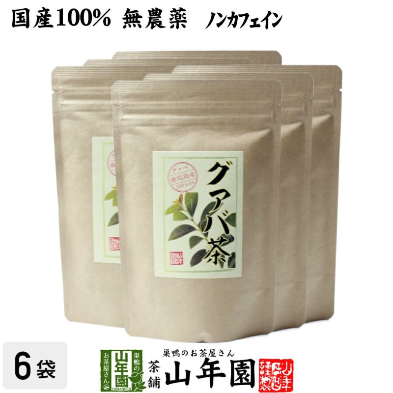 【国産 100%】グァバ茶 3g×16パック×6袋セット ティーパック ノンカフェイン 鹿児島県産 無農薬