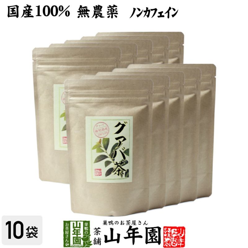 【国産 100%】グァバ茶 3g×16パック×10袋セット ティーパック ノンカフェイン 鹿児島県産 無農薬