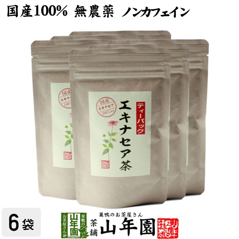 【国産 100%】エキナセア茶 2g×10パック×6袋セット ノンカフェイン 鳥取県または熊本県産 無農薬