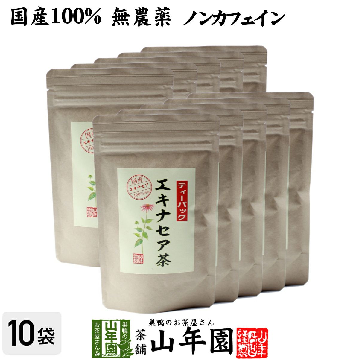 【国産 100%】エキナセア茶 2g×10パック×10袋セット ノンカフェイン 鳥取県または熊本県産 無農薬