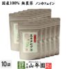 【国産 100%】エキナセア茶 2g×10パック×10袋セット ノンカフェイン 鳥取県または熊本県産 無農薬