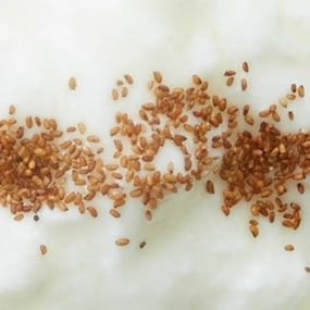 【無添加100%】テフ 200g×2袋セット ブラウンテフ