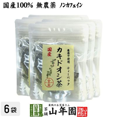 【国産 100%】カキドオシ茶 ティーパック 1.5g×20パック×6袋セット 宮崎県産 無農薬 ノンカフェイン