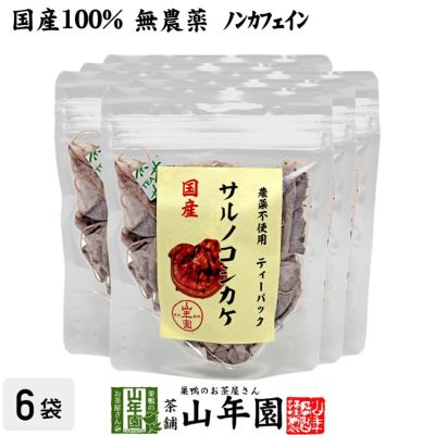 【国産100%】サルノコシカケ茶 ティーパック 1.5g×20パック×6袋セット 宮崎産　鹿児島県産 無農薬 ノンカフェイン