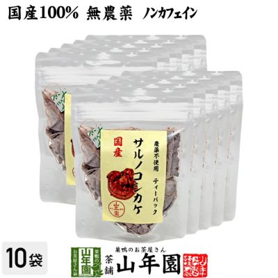 【国産100%】サルノコシカケ茶 ティーパック 1.5g×20パック×10袋セット 宮崎産　鹿児島県産 無農薬 ノンカフェイン