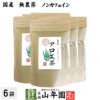 【国産 無農薬 100%】アロエ茶 40g×6袋セット 高知県四万十川産 ノンカフェイン