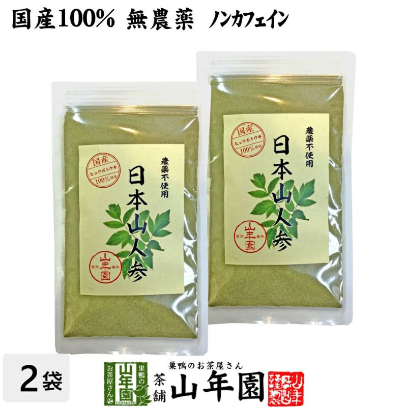 【国産 無農薬 100%】日本山人参 粉末 ヒュウガトウキ 50g×2袋セット パウダー 宮崎県産ノンカフェイン