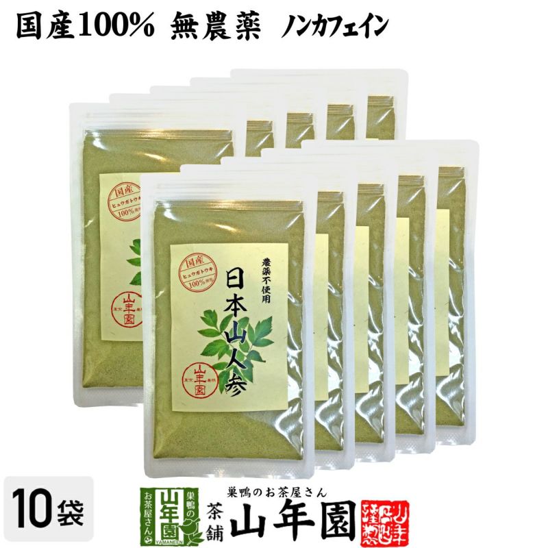 【国産 無農薬 100%】日本山人参 粉末 ヒュウガトウキ 50g×10袋セット パウダー 宮崎県産ノンカフェイン