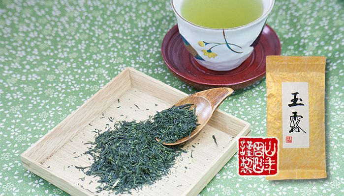 【高級】玉露茶 京都府宇治市 100g×6袋セット