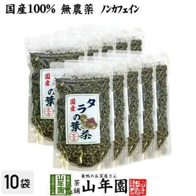 【国産100%】タラの葉茶 無農薬 100g×10袋セット 宮崎県産