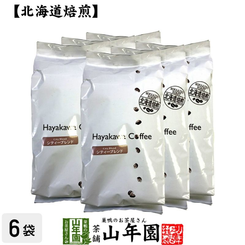 北海道焙煎 レギュラーコーヒー シティーブレンド 挽き豆 大容量 500g×6袋セット